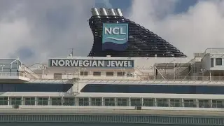 Cruise ship returns to PortMiami after passenger goes overboard