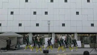 八琴栾　　Diversity-Equity-Inclusion2026（1月25日）