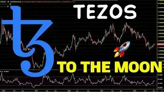 Tezos (XTZ) Bear Market Strategy. XTZ Price Chart Analysis and Price Prediction 2022