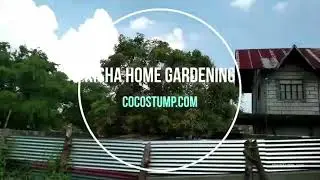 Kisha Home Gardening (RAK Amputee)