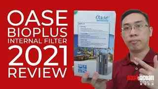 OASE Bioplus Internal Filter 2021 Review