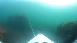 Video 360&ordm; flora y fauna costera Lim&eacute;ns. Disfrutando