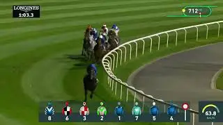 Romantic Warrior одержал победу в скачках Group 1 Jebel Hatta 2025 на ипподроме Meydan Dubai.