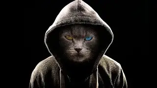 Ceylon RP | CRiminal with මැකැනික් පූසා මල්ලී E5