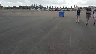 manx hovercat