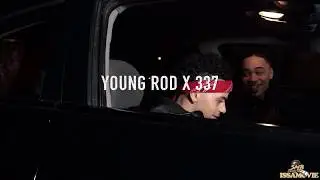 Young Rod x 337  