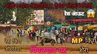 डोंगरिया & शेरा || race out || पिंपळगाव पट.....