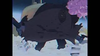 Cat Company Morpheus the Black AMV