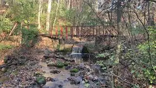 Mayflower Fall Falls