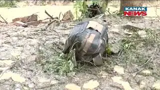 Wall Collapses In Lucknow, Dilkhus Area Due To Heavy Rainfall,9 Dies And 2 Injured