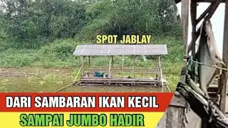 mancing palumbon terbaru‼️SPOT JABLAY PALUMBON dari sambaran IKAN kecil sampai JUMBO hadir 