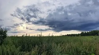 БЛИНЫ НА ОСТРОВЕ