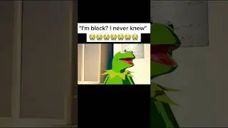 Kermit the frog didn&rsquo;t know &ldquo;itachi&rdquo;