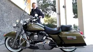 2007 Harley-Davidson Road King Wild Pigs Rare Color!