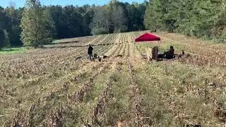 HRCH Ariel MHR - 2020 Boykin Spaniel National Retriever Championship - Open 1st series