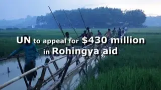 UN to appeal for $430 million in Rohingya aid