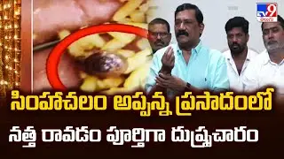 సింహాచలం అప్పన్న ప్రసాదంలో నత్త రావడం పూర్తిగా దుష్ప్రచారం : Ganta Srinivasa Rao - TV9