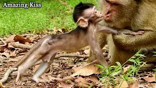 Amazing kiss...Baby Quinton walk to kiss Briana, Quinton super cute baby with lovely activity