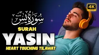 Surah Yasin Full | Surah Yaseen with Urdu Translation | Heart Touching Tilawat