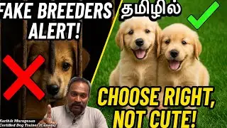 Avoid Fake Breeders! | How to Select a Puppy in Tamil | Dog Trainer Tips &ndash; Part 1