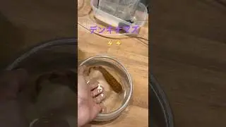 デンキナマズを触るとこうなる　#デンキナマズ　#デンキウナギ　#電気ウナギ　#電気ナマズ
