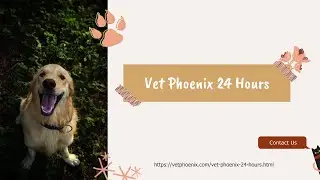 Vet Phoenix 24 Hours