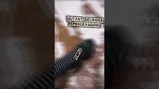 mutant neuronal reprogramming new song