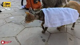 Take shower mom and clean her body with shamboo