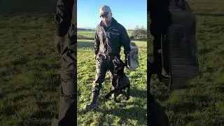 Dog training in Fife Scotland. Honoris Gundogs #dogtrainer #germanshepheard #dogtraining
