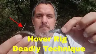 Hover strolling Bass Fishing: The Ultimate Guide