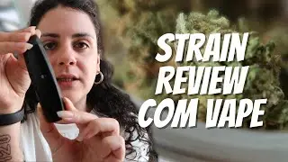 STRAIN REVIEW SUPER LEMON HAZE #sommelierva