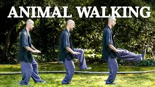 Ba Xing Tai Chi Walking for Beginners I Walk Like the 8 Animals