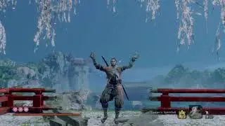 Sekiro&trade;: Shadows Die Twice All Spiritfall