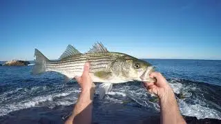 October Moon&ndash;Incredible Footage&ndash;Surf Fishing for Blitzing Stripers from the Rhode Island Shoreline