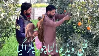 Full comedy, funny video,dont miss end.