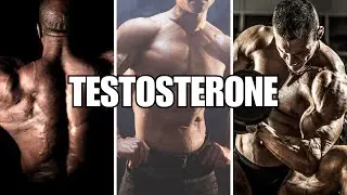 9 Minutes of Testosterone
