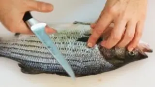 How to Fillet Raw Fish