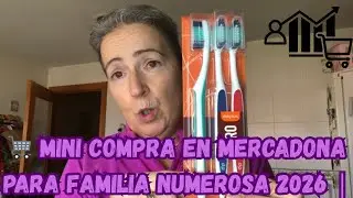 Lo que me llevo en esta MINI COMPRA MERCADONA para mi FAMILIA NUMEROSA 😱 Precios y ahorro real💸💸💸