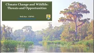 Climate and Wildlife: Threats and Opportunities &ndash; Beth Stys, US Fish & Wildlife Service