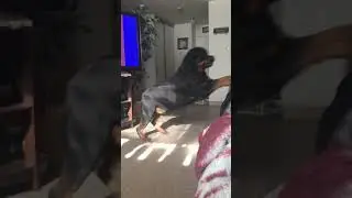 BOOM! Chest Bump