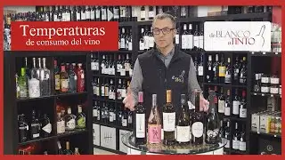 &iquest;A qu&eacute; TEMPERATURA se deben tomar los VINOS? - Claves para disfrutar del vino correctamente.