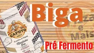 Pré Fermento - Biga