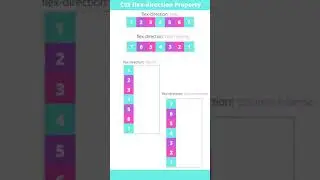 CSS Flexbox | Flex Direction Property #shorts