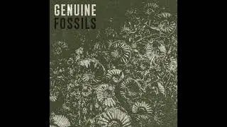 Genuine - Suspect Device (2022)