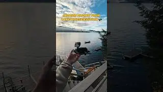 Indoor FPV drone tour by the lake 