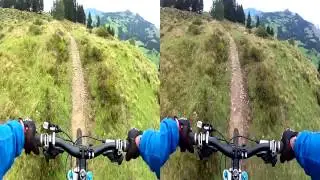 Test Schwalbe Hans Dampf