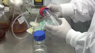 02 Microbial Bioreactor: Aseptic Bottle Transfer