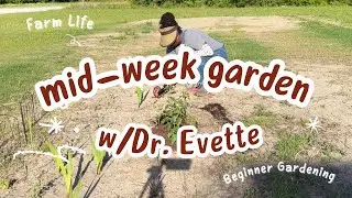 Beginning a Sunshine Garden and Adding Bark to Raised Beds | Dr. Evette's Route