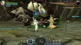 Dragon nest Force user -cerberus solo