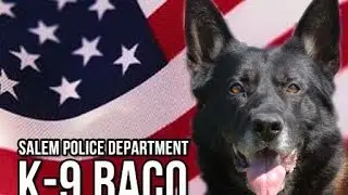 SPD's K-9 Baco shows support for the #MilitaryK9